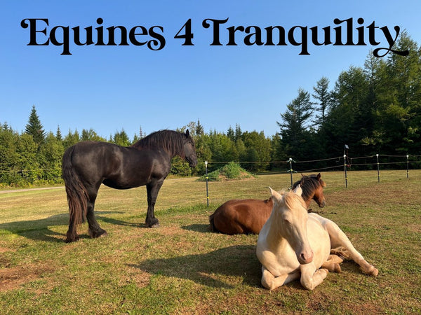 Equines 4 Tranquility